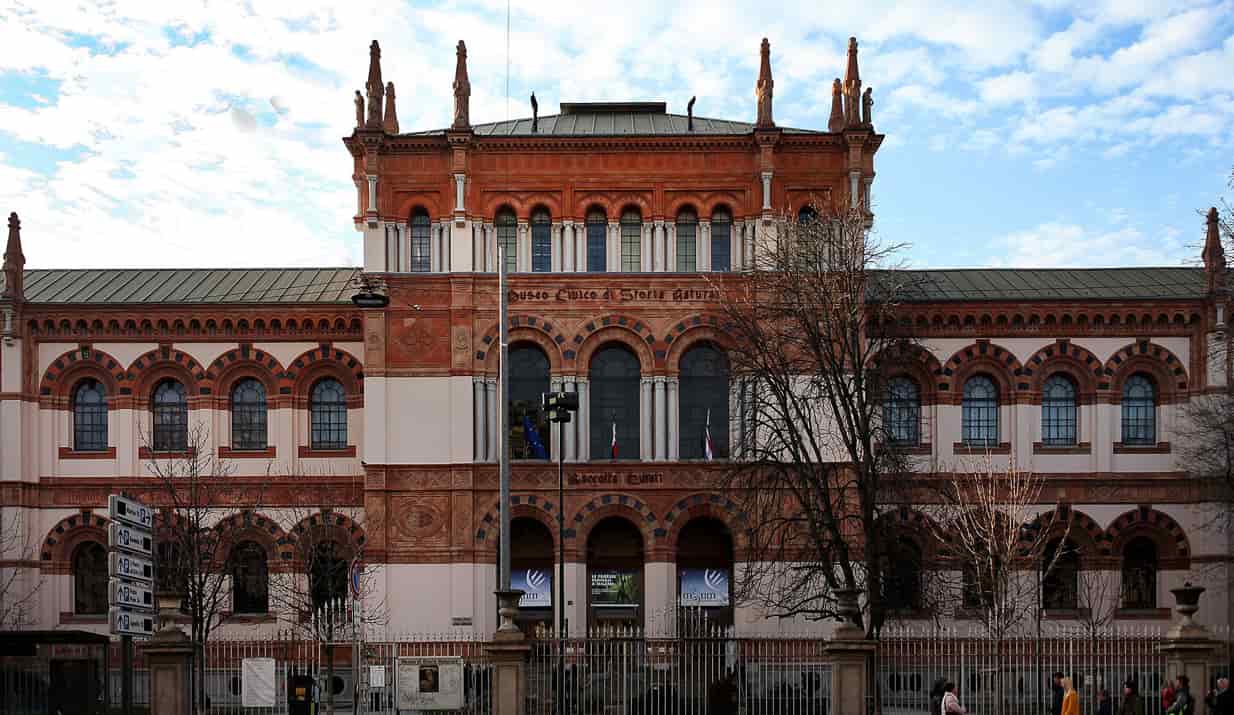 La lunga storia del Museo di Storia Naturale di Milano
