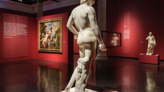 La costruzione del corpo nella Venezia del Rinascimento. Leonardo, Michelangelo, Dürer, Giorgione