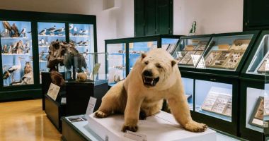 Museo civico di storia naturale di Ferrara, tra storia e futuro