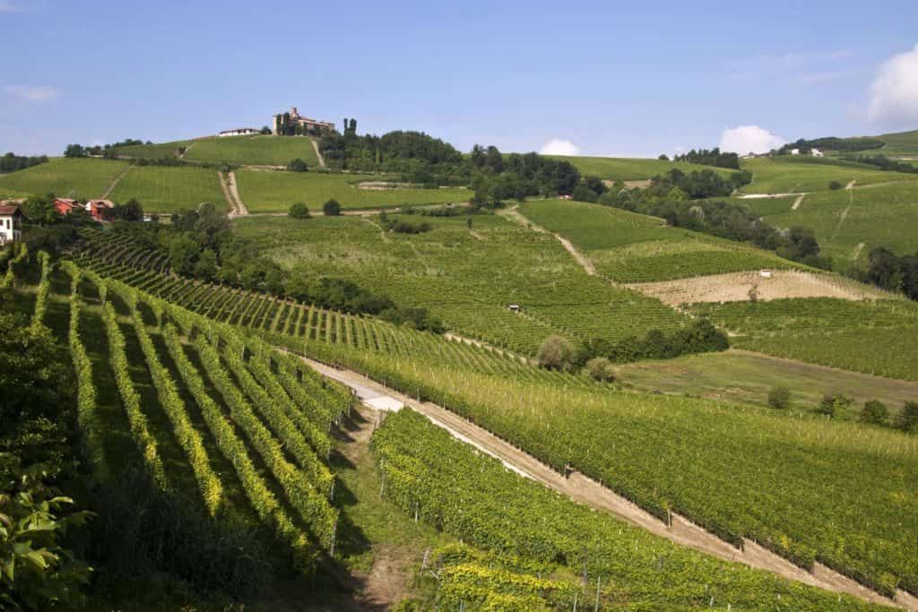 Le Cattedrali Sotterrane del Vino