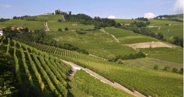 Le Cattedrali Sotterrane del Vino